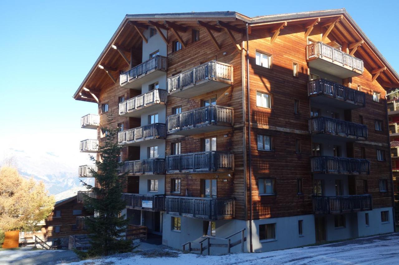 Pracondu 2 Outdoor & Fun Appartement Superieur 3 Pieces 6 Pers Nendaz Exterior foto